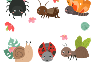 Illustration de l'actualité - cliquer pour agrandir