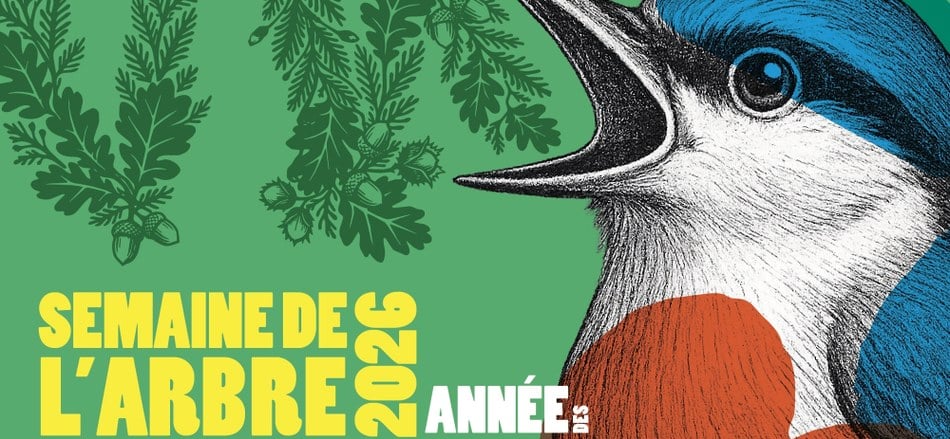 Journée de l'Arbre à Faimes