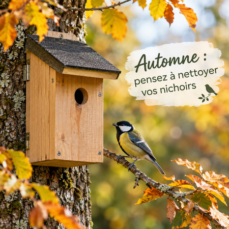 Illustration de l'actualité - cliquer pour agrandir