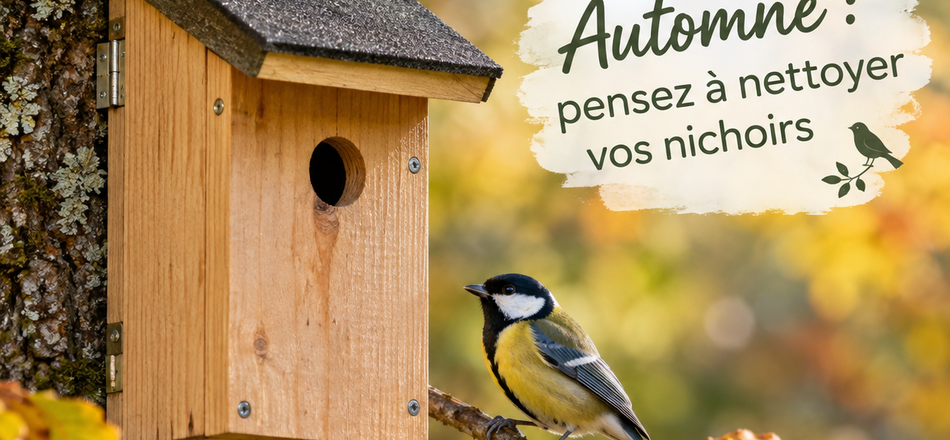 L'automne est là : pensez à nettoyer vos nichoirs