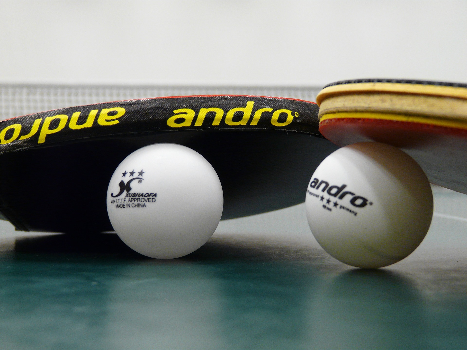 Tennis de table "La Renaissance"