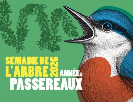Illustration de l'actualité - cliquer pour agrandir