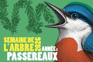 Illustration de l'actualité - cliquer pour agrandir