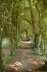  Rue du Bois à Aineffe 