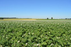  Route de la Pierre 