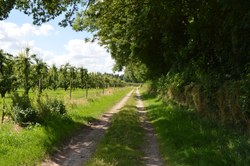  Sentier du Corainon 