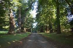  Drève des Châtaigniers à Aineffe 
