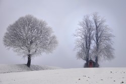  Concours photo Jean-Louis George 