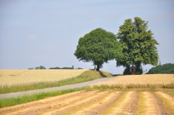  Concours photo Freddy Godechal 