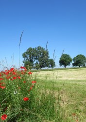  Concours photo Laurence Lahaye 