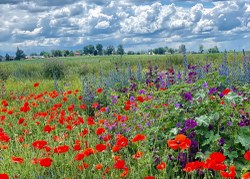  Concours photo Sébastien Bosch 
