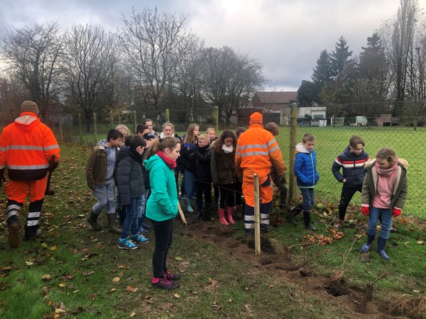 Plantation école 1221 2