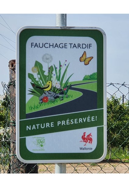 Fauchage