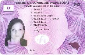 permis conduire provisoire.jpg