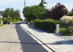  Barbe d'Or été 2021 2 